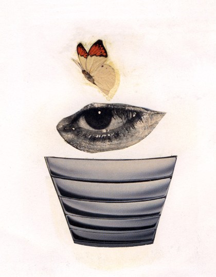 Pot-Eye-Fly, 1996
